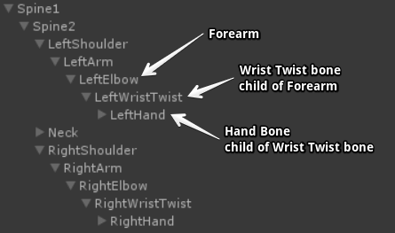 Twist Bone Hierarchical